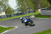 anglesey;brands-hatch;cadwell-park;croft;donington-park;enduro-digital-images;event-digital-images;eventdigitalimages;mallory;no-limits;oulton-park;peter-wileman-photography;racing-digital-images;silverstone;snetterton;trackday-digital-images;trackday-photos;vmcc-banbury-run;welsh-2-day-enduro